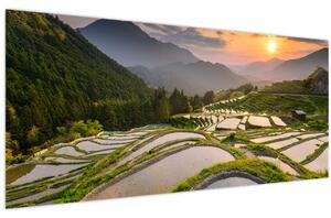 Kép - Rizsteraszok (120x50 cm)