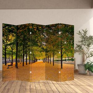 Paraván - őszi fasor (210x170 cm)