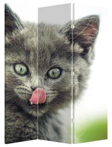 Paraván - Nyalakvó cica (126x170 cm)