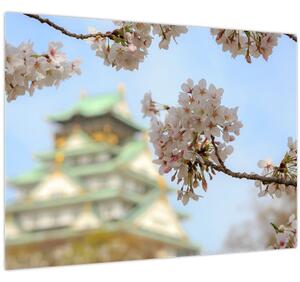 Kép - Sakura (70x50 cm)