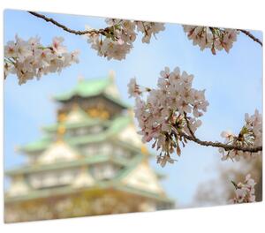 Kép - Sakura (90x60 cm)