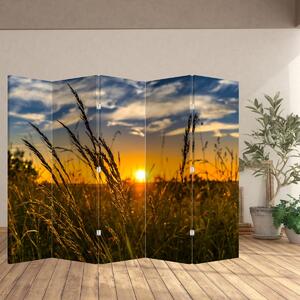 Paraván - Mező naplementekor (210x170 cm)