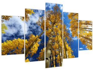 Kép - Aspen (150x105 cm)