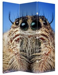 Paraván - A pók részlete (126x170 cm)