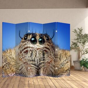 Paraván - A pók részlete (210x170 cm)