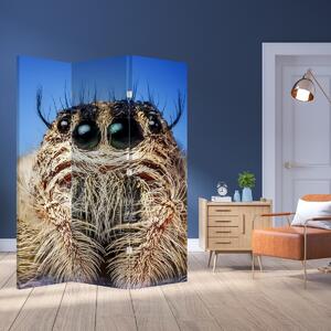 Paraván - A pók részlete (126x170 cm)