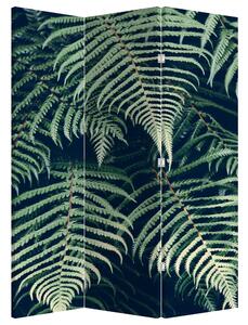 Paraván - Páfrány levelek (135x180 cm)