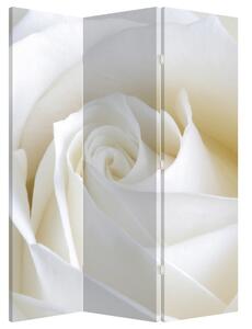 Paraván - Fehér rózsa (135x180 cm)
