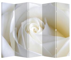 Paraván - Fehér rózsa (225x180 cm)