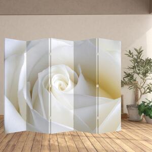 Paraván - Fehér rózsa (210x170 cm)