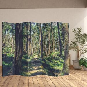 Paraván - Út a fák között (210x170 cm)