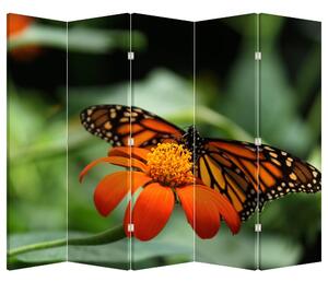 Paraván - Pillangó a virágon (225x180 cm)