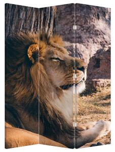 Paraván - Fekvő oroszlán (135x180 cm)