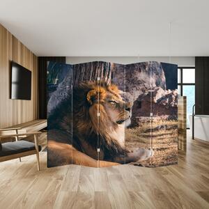 Paraván - Fekvő oroszlán (210x170 cm)