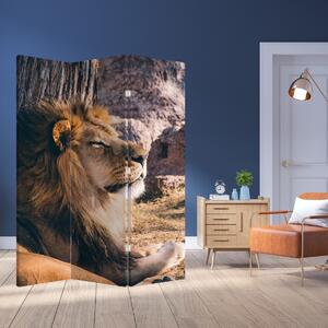 Paraván - Fekvő oroszlán (126x170 cm)