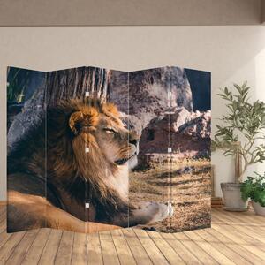 Paraván - Fekvő oroszlán (210x170 cm)