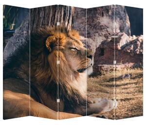Paraván - Fekvő oroszlán (225x180 cm)