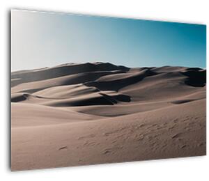 Kép - A sivatagból (90x60 cm)