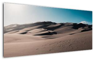 Kép - A sivatagból (120x50 cm)