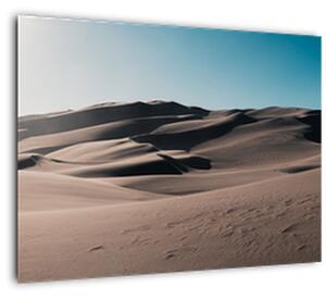Kép - A sivatagból (70x50 cm)