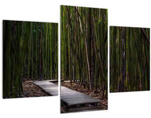 Kép - A bambuszok között (90x60 cm)