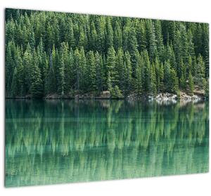 Kép - Tűlevelű a tónál (üvegen) (70x50 cm)