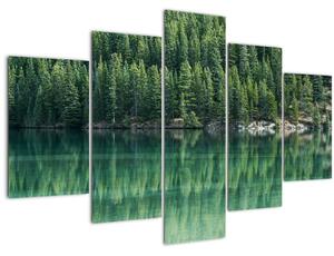 Kép - Tűlevelű a tónál (150x105 cm)