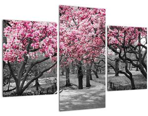 Kép a magnólia fákról (90x60 cm)