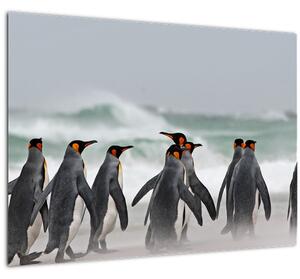 Pingvinek képe az óceán mellett (üvegen) (70x50 cm)