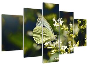 Pillangó képe (150x105 cm)
