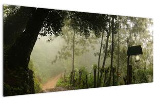 Reggeli köd képe (120x50 cm)