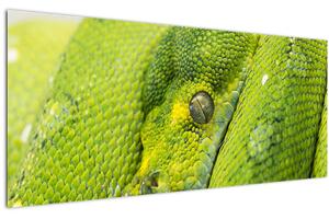 Kígyó képe (120x50 cm)