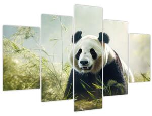 Kép - Panda (150x105 cm)