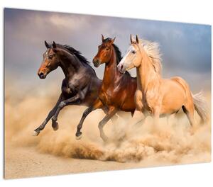 Kép - Vad lovak (90x60 cm)