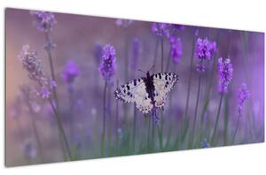Kép - Pillangó a levendulán (120x50 cm)