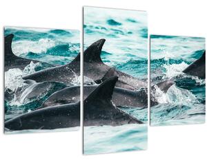 Kép - Delfinek az óceánban (90x60 cm)