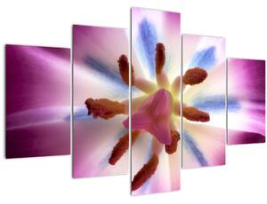 Kép - Tulipán virág részletesen (150x105 cm)
