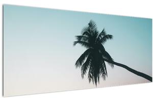 Kép - Pálmafa Balin (120x50 cm)