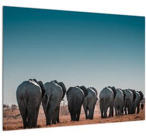 Kép - Elefántok indulása (70x50 cm)