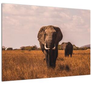 Kép - Az elefánt érkezése (üvegen) (70x50 cm)