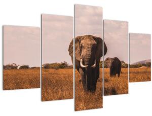 Kép - Az elefánt érkezése (150x105 cm)