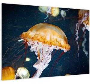 Medúza képe (70x50 cm)
