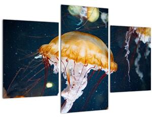 Medúza képe (90x60 cm)