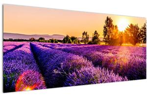 A levendula mező képe, Provence (120x50 cm)