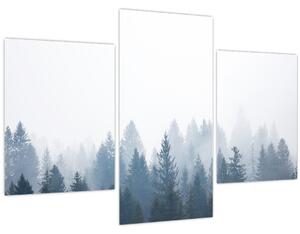 Kép - Ködös erdő (90x60 cm)