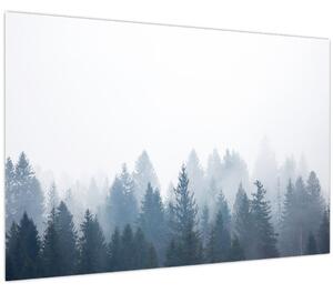 Kép - Ködös erdő (90x60 cm)