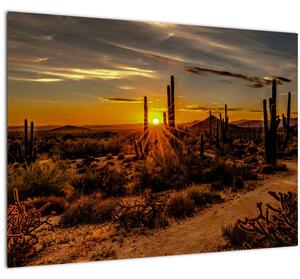 Kép - A nap vége az arizonai sivatagban (üvegen) (70x50 cm)