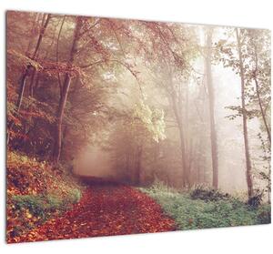 Kép - Őszi séta az erdőben (üvegen) (70x50 cm)