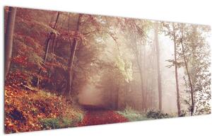 Kép - Őszi séta az erdőben (120x50 cm)