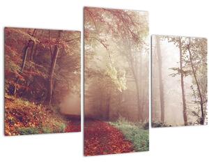 Kép - Őszi séta az erdőben (90x60 cm)
